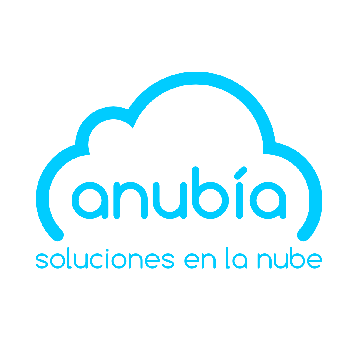 Anubía Silver Partner Odoo